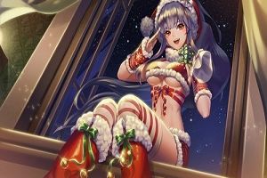 《姬魔恋战纪》赵云人物档案