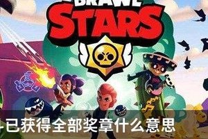 荒野乱斗已获得全部奖章什么意思