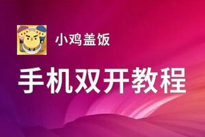 小鸡盖饭如何双开 2020最新双开神器来袭