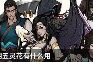 烟雨江湖五灵花有什么用