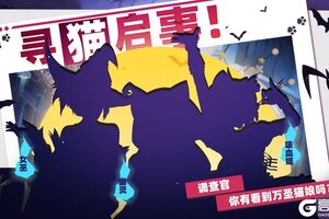 《猫之城》寻猫启事：你有见到她们吗？