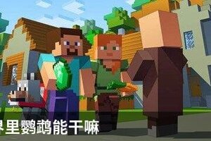 我的世界里鹦鹉能干嘛