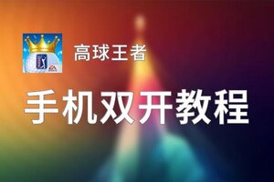 有没有高球王者双开软件推荐 深度解答如何双开高球王者