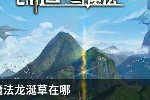 创造与魔法龙涎草在哪