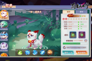 能酷又能萌，《忍者大乱斗》契兽伴你游天下
