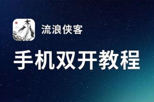 流浪侠客如何双开 2021最新双开神器来袭