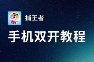 捕王者双开神器 轻松一键搞定捕王者挂机双开