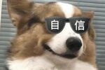 《荒野行动》全新6元粉装【雪梅贺春】上线