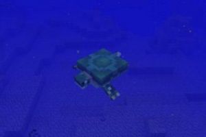 MC新生物添加确定 我的世界海龟将加入