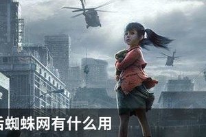 明日之后蜘蛛网有什么用