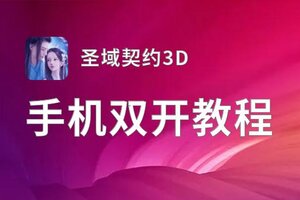 圣域契约3D双开软件推荐 全程免费福利来袭