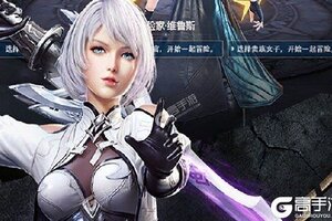 《圣域传奇》万人新服紧急新开 更新新版本领取VIP礼遇