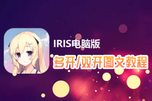 IRIS怎么双开、多开？IRIS双开、多开管理器使用图文教程