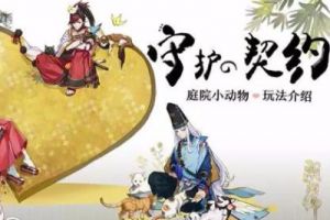 守护的契约丨平安京科学养（xi）猫全攻略！