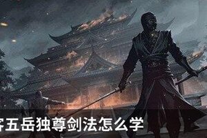 我的侠客五岳独尊剑法怎么学