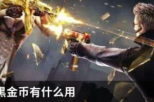 CF手游黑金币有什么用