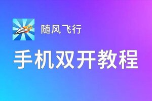 随风飞行双开挂机软件推荐  怎么双开随风飞行详细图文教程