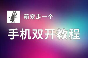 有没有萌宠走一个双开软件推荐 深度解答如何双开萌宠走一个