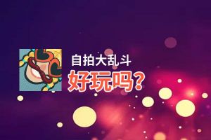 自拍大乱斗好玩吗？自拍大乱斗好不好玩评测