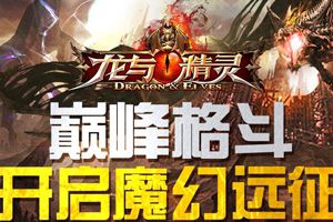 新手必看攻略