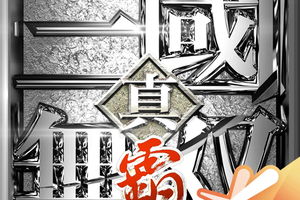 真三国无双霸