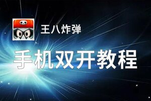 有没有王八炸弹双开软件推荐 深度解答如何双开王八炸弹