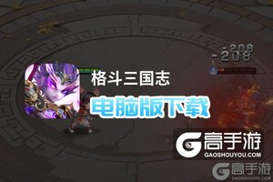 格斗三国志电脑版下载 格斗三国志电脑版安卓模拟器推荐