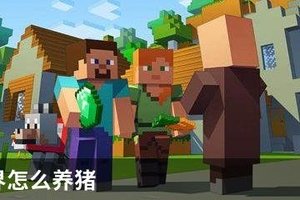 我的世界怎么养猪