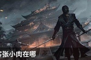 我的侠客张小肉在哪