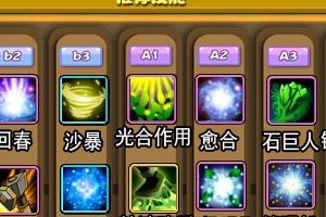 枫叶蛛培养推荐攻略