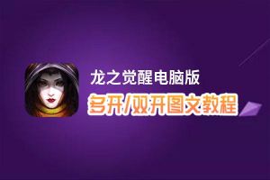 龙之觉醒怎么双开、多开？龙之觉醒双开助手工具下载安装教程