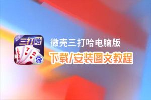 微壳三打哈电脑版下载、安装图文教程 含：官方定制版微壳三打哈电脑版手游模拟器