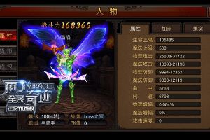 天生双翼华美强大 带你装逼带你飞