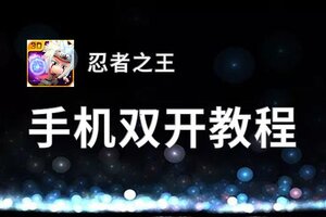 忍者之王双开挂机软件推荐  怎么双开忍者之王详细图文教程