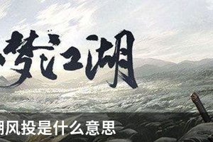 一梦江湖风投是什么意思
