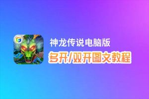 神龙传说怎么双开、多开？神龙传说双开助手工具下载安装教程