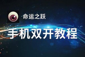 命运之跃如何双开 2020最新双开神器来袭