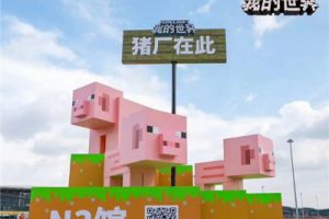 《我的世界》CJ小姐姐玩家激情上演骑猪大赛 史蒂夫真人现场尬舞
