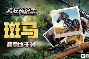 《疯狂神射手》【猎物图鉴】非洲-斑马