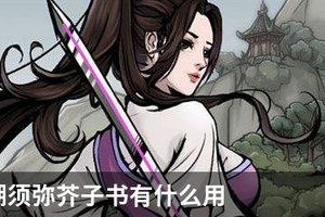 烟雨江湖须弥芥子书有什么用