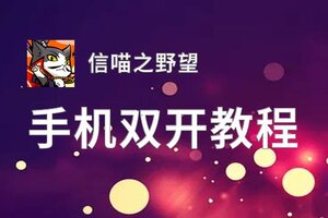 信喵之野望双开挂机软件推荐  怎么双开信喵之野望详细图文教程