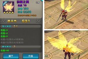 光辉勇士翅膀一览