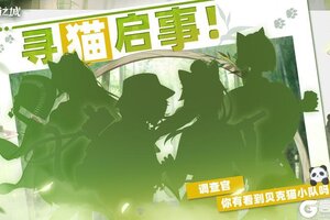 《猫之城》寻猫启事：你有看到她们吗？