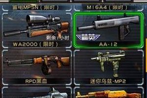非R不同类型枪选择心得