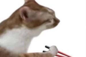 《活下去》今日冬至，宜团圆，宜上线！