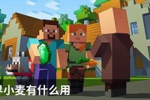 我的世界小麦有什么用