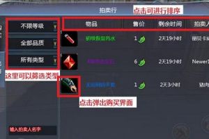 拍卖行玩法攻略