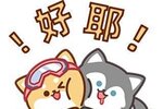 《星球：重启》在星球实现“暴富”？！