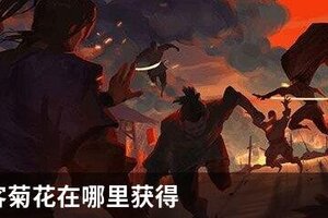 我的侠客菊花在哪里获得