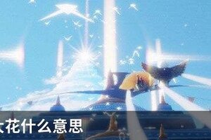 光遇守大花什么意思